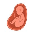 Embryo in stomach icon, cartoon style