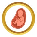 Embryo in stomach icon, cartoon style