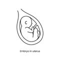 Embryo in uterus line icon in vector, baby illustration.