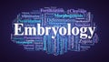 Embryology Word Cloud. Royalty Free Stock Photo