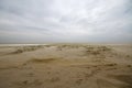 Embryonic dune on beach under dark sky