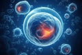 Embryonic stem cell