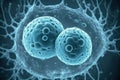 Embryonic stem cells division. Human cells under microscope. In vitro concept.