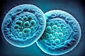 Embryonic stem cells division. Human cells under microscope. In vitro concept.