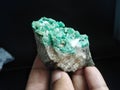 Emerald buch on matrix mineral specimen from Afghanistan