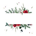 Emerald christmas greenery, red amaryllis, berry, cedar, salal, emerald pine, snow vector design frame