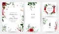 Emerald Christmas greenery, red amaryllis, winter berry, cedar, emerald pine, spruce vector design frames.