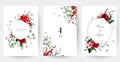 Emerald Christmas greenery, red amaryllis, winter berry, cedar, emerald pine, spruce vector design frames