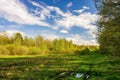 Emerald colors of spring meadow. Green grass, light green leaves on the trees and picturesque sky