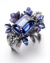 Emeraldcut tanzanite on blackwhite background only Royalty Free Stock Photo