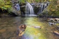 Emerald Falls along Gorton Creek with Driftwood in Oregon Royalty Free Stock Photo