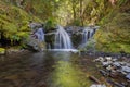 Emerald Falls along Gorton Creek in Oregon Royalty Free Stock Photo