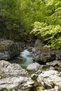 Steinacher Achen river in Pfronten, Fallmuehle, in the Bavarian Alps of the Allgaeu region (Bavaria, Germany)