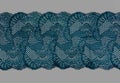 Color straight strip of lace fabric on a gray background. Elastic silk nylon braid border. use for clothes and linen decoration Royalty Free Stock Photo