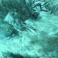 Emerald green fluffy faux fur rug texture Royalty Free Stock Photo