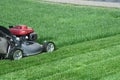 Emerald green lawn mowing landscape maintenance Royalty Free Stock Photo