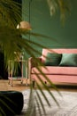 Emerald green pillows on pastel pink couch next to pink table with champagne glasses in trendy living room interior with dark Royalty Free Stock Photo