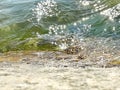 emerald Green sea wter wave and splash reflection on sun beams seascape