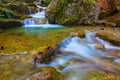 emerald grook rushing in mountain canyon covered by red dry leaves Royalty Free Stock Photo