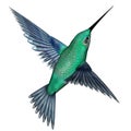 Emerald hummingbird - 3D render