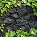 Emerald ivy on black stones. Generative AI. Royalty Free Stock Photo