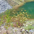 Emerald lake in an abandoned career in the village Racos, Transylvania Royalty Free Stock Photo