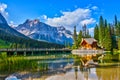 Emerald lake in the Canadian Rockies of Yoho National Park, British Columbia, Canada Royalty Free Stock Photo