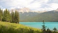 Emerald Lake Firs Royalty Free Stock Photo