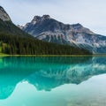 Emerald Lake Mountain Reflections from the rocky mountains canada Royalty Free Stock Photo