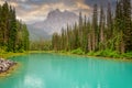 Emerald lake near Golden in Yoho National park in the canadian Rocky Mountains, British Columbia Canada Royalty Free Stock Photo