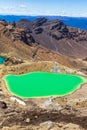 Red crater. Tongariro national park. North Island, New zealand Royalty Free Stock Photo