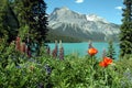 Emerald lake in summer