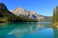 Emerald Lake, Yoho National Park, British Columbia, Canada Royalty Free Stock Photo