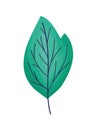 emerald leaf illustration