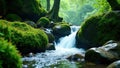 Emerald moss blankets ancient rocks, water tumbles down, photography, spring Royalty Free Stock Photo