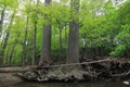 The Emerald Necklace of Cleveland is an extensive system of nature preserves in Greater Cleveland