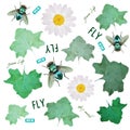 Emerald polygonal fly, green leaves and white daisy, design