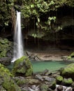 Emerald Pool, Dominica Royalty Free Stock Photo