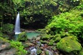 Emerald Pool, Dominica Royalty Free Stock Photo