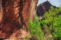 Emerald Pool Falls, Zion National Park, Utah Royalty Free Stock Photo