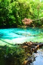 Emerald pool one of destination Royalty Free Stock Photo
