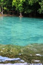 Emerald Pool (Sa Morakot) in Krabi