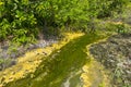 Emerald Pool Sra Morakot in Krabi province, Thailand.