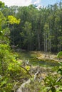 Emerald Pool Sra Morakot in Krabi province, Thailand.