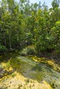 Emerald Pool Sra Morakot in Krabi province, Thailand.