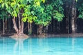 Emerald Pool (Sra Morakot) Krabi province , Thailand.