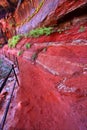 Emerald Pool Trail in Utah Royalty Free Stock Photo