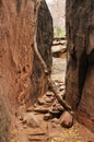 Emerald Pools Trail, Behunin Canyon, Zion National Park, Utah, USA Royalty Free Stock Photo