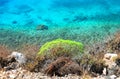 Emerald sea, greece Royalty Free Stock Photo