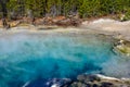 Emerald Spring at Yellowstone National Park Royalty Free Stock Photo